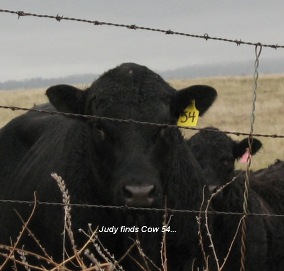 45 Year Old Mystery Solved!!!