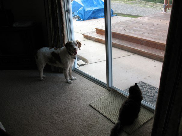 14095_1363626084873_4636402_n