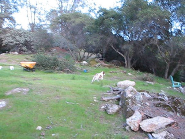 14095_1363627604911_35303_n