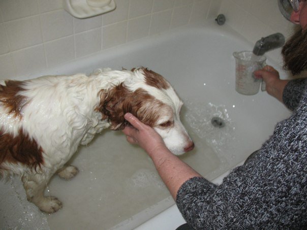 14095_1363629444957_6845681_n