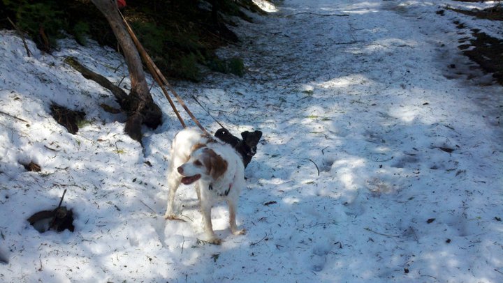 185664_1757307606665_8342338_n