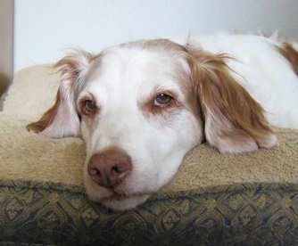 200258_1813988183644_6525815_n