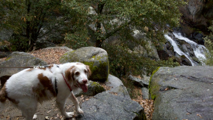 2012-02-11_13-55-11_819