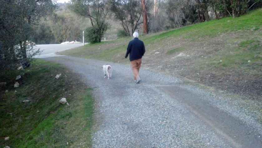 2013-03-01_18-01-50_782