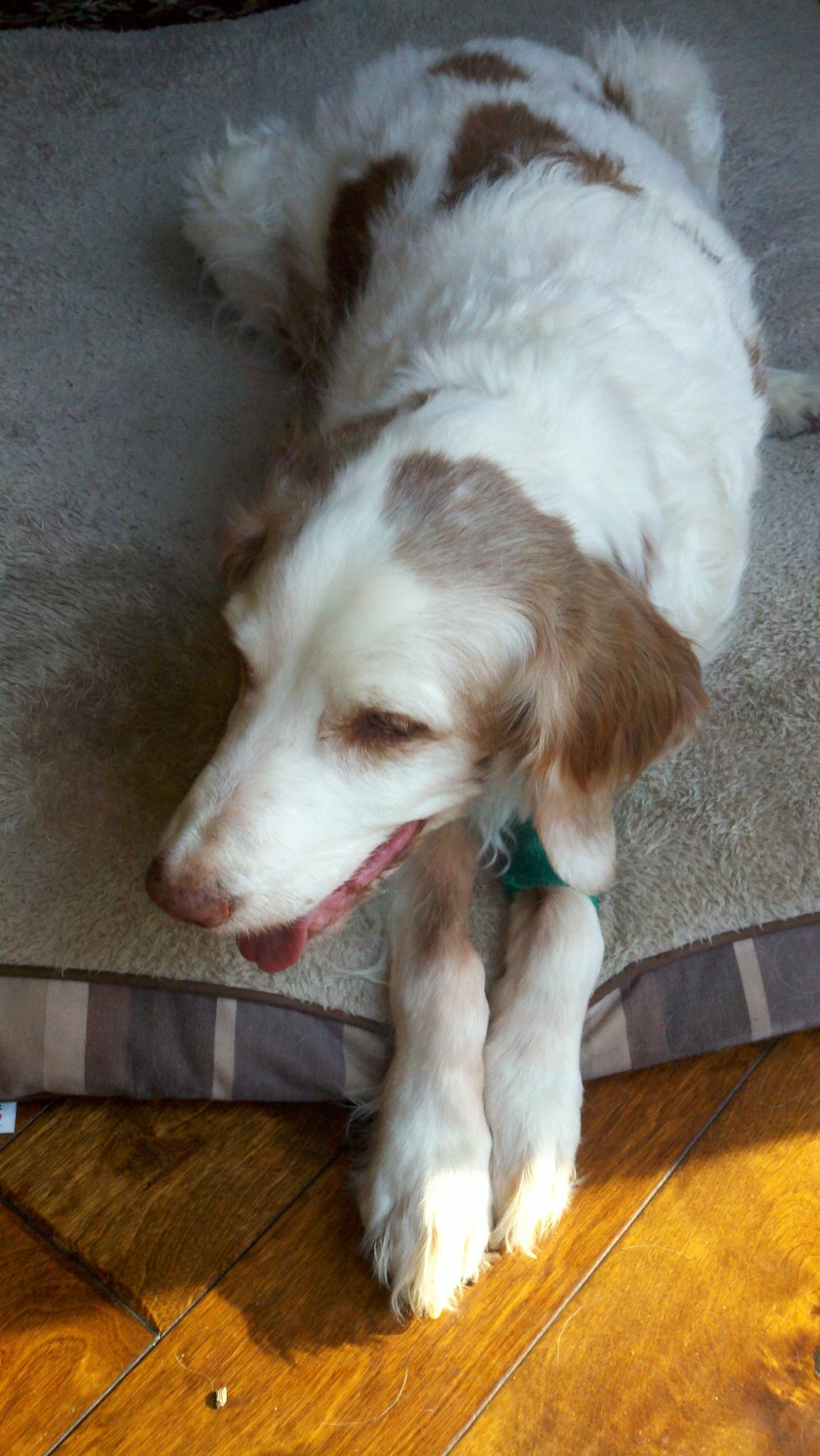 2013-03-02_08-27-25_624