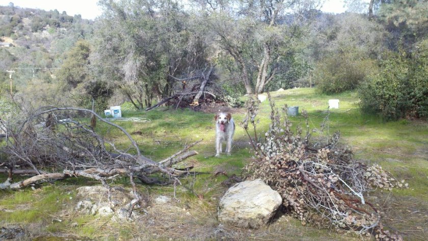 429755_3071066049805_464032333_n