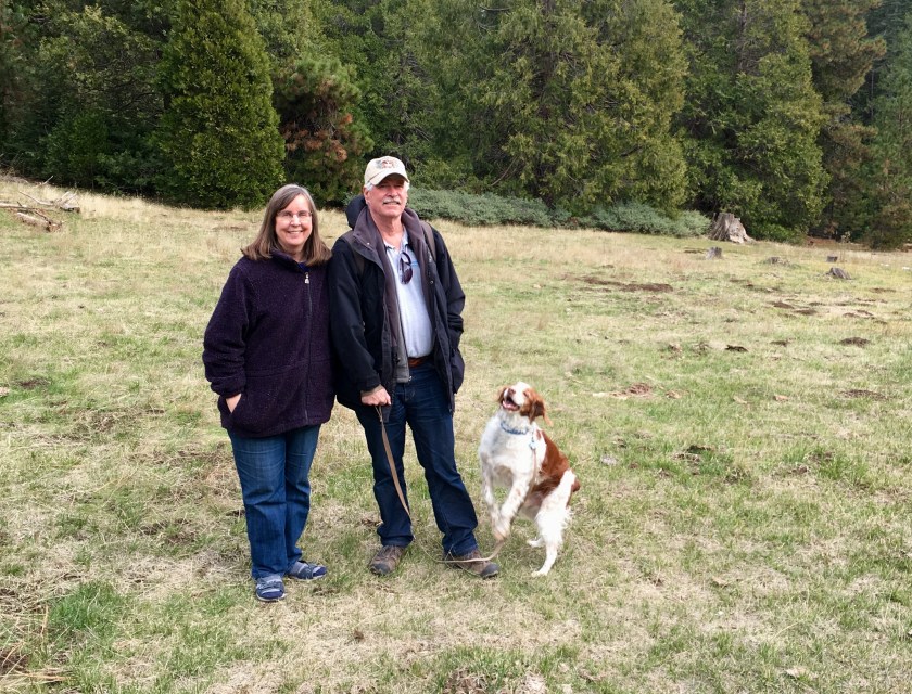 Murphy jumping for j.jpg